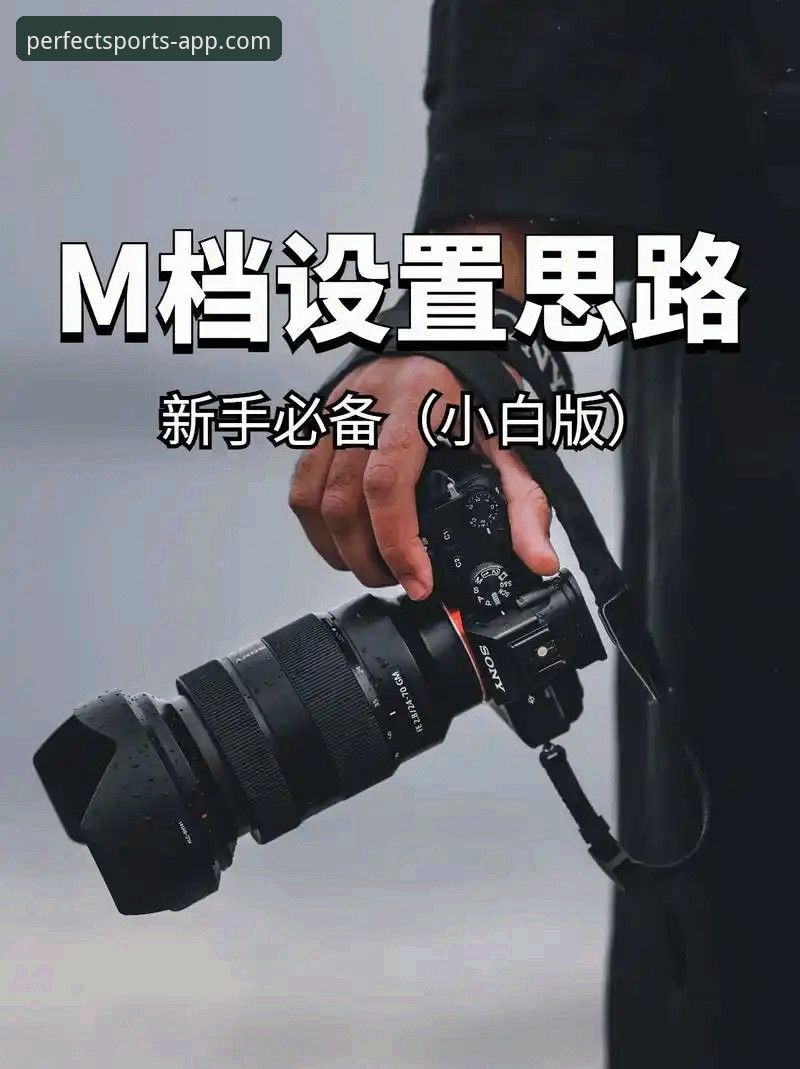完美体育APP安装教程必备：从下载到配置的完整操作指南