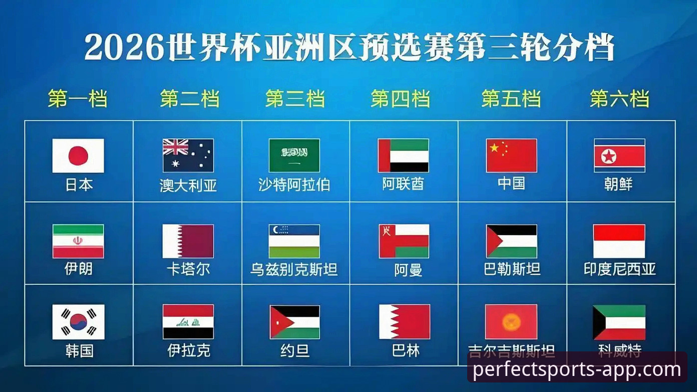 从蓝衣军团三连败看世界杯预选赛观赛必备知识